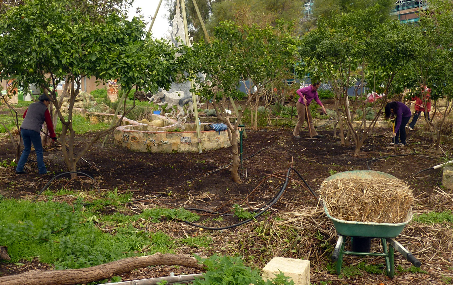 Participants creating Ephemeral artworks with facilitator Elaine Clocherty in the gardens of Perth City Farm